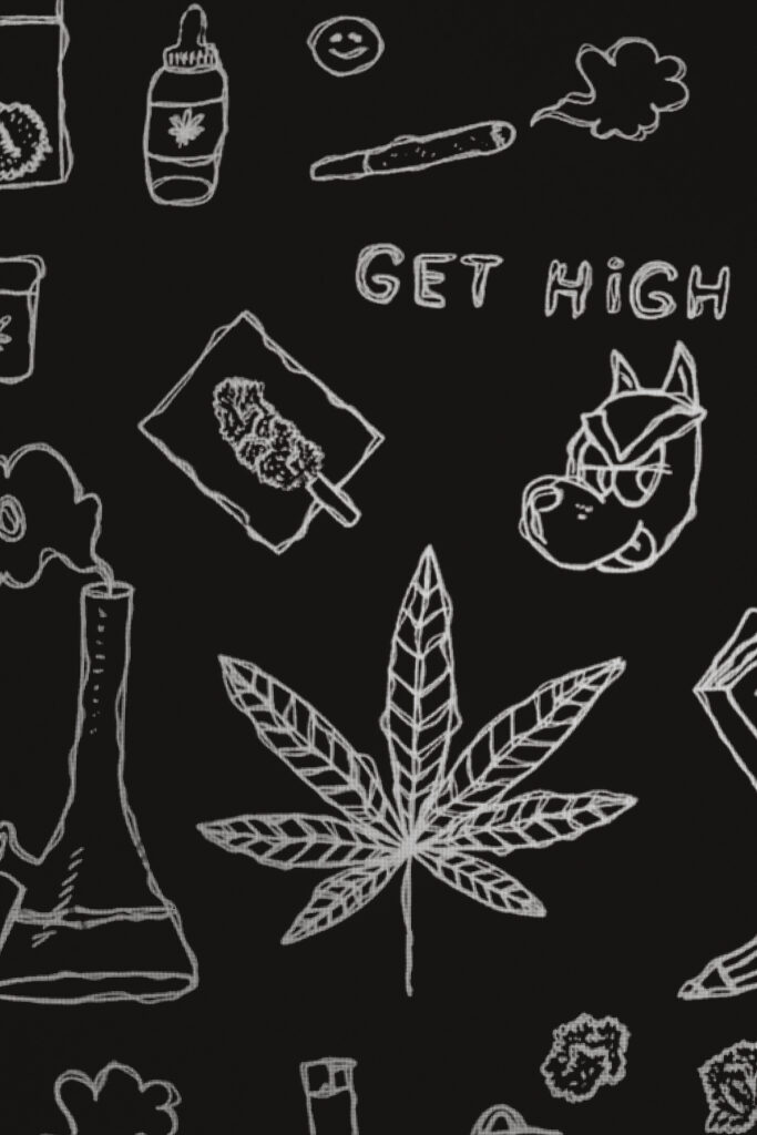 3_HIGH SCHOOL REUNION TOUR_AMI NICOLE ACRONYM