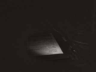 8_DISTURBED_AMI NICOLE ACRONYM