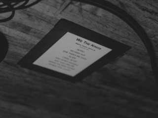 1_WE THE KINGS_AMI NICOLE ACRONYM