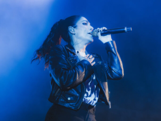 7_THE INTERRUPTERS_AMI NICOLE ACRONYM
