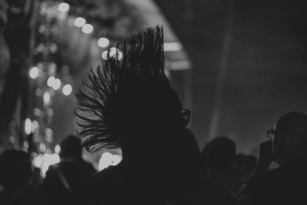 1_MOHAWK AT RIOT FEST_AMI NICOLE ACRONYM